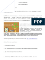 Biorremediación limpia contaminación petróleo