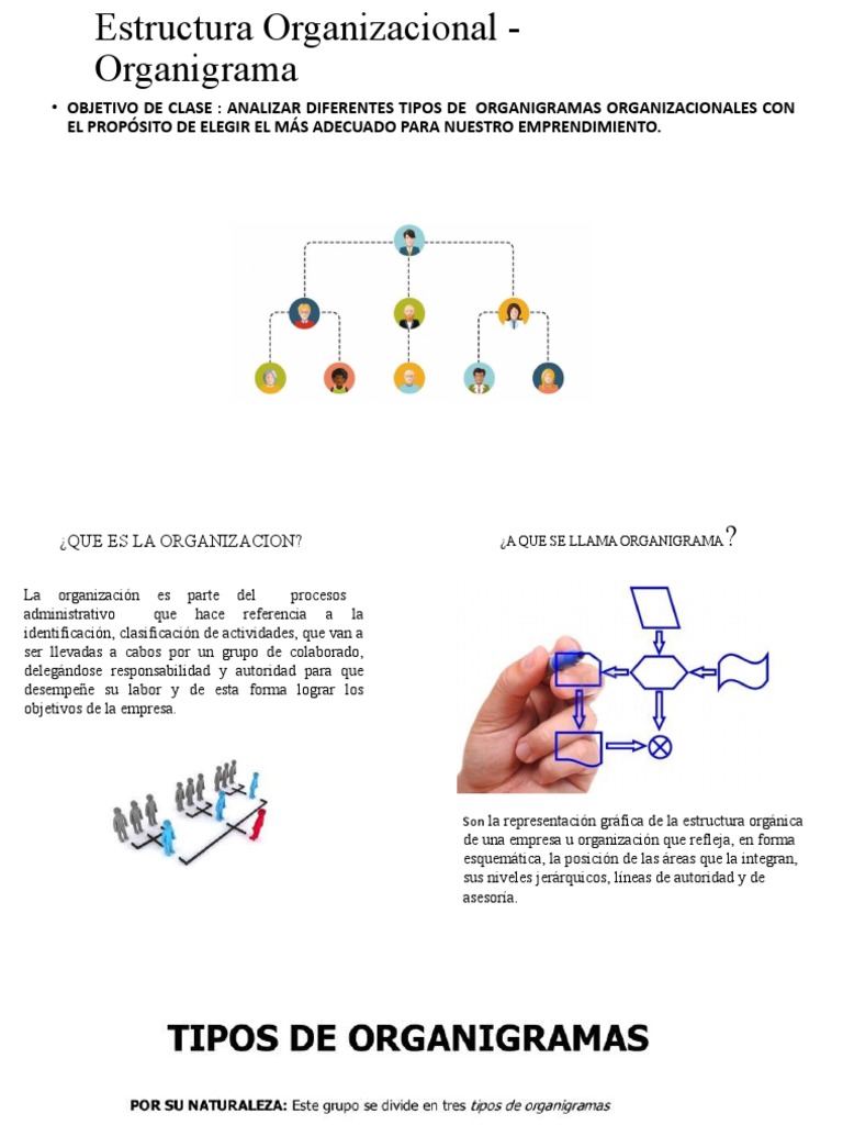 Tipos y Objetivos de Organigramas | PDF | Crecimiento personal y ...