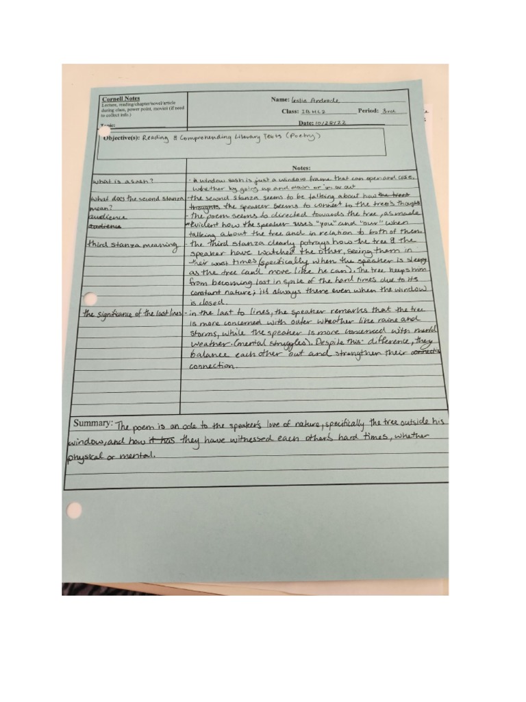 Tree at My Window PDF