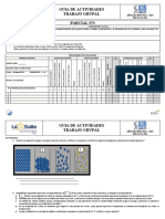 Guia de Actividades Trabajo Grupal Parcial Nº1