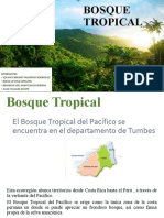 Bosques Tropicales