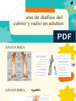 Fracturas de antebrazo en adultos