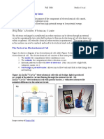 F 06 S13c Ecellmodels