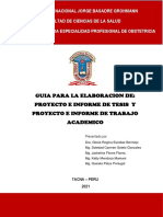 Guia para La Elaboracion de Proyecto e Informe Final Seep Obst