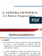 LEITURA CIENTÍFICA - Síntese Esquemática