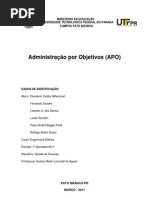 Administração Por Objetivos (APO)