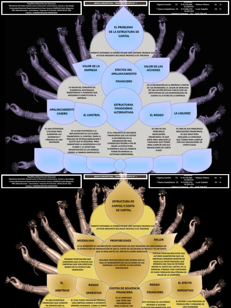 Estructura de Capital | PDF | Apalancamiento (Finanzas) | Business