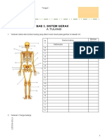 Sistem Gerak - Tulang
