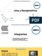 Serotonina y Norepinefrina.