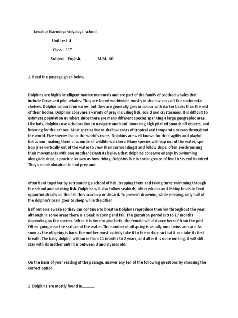 11 TH Unit Test 4 English Questions Paper | PDF | Dolphin | Whales