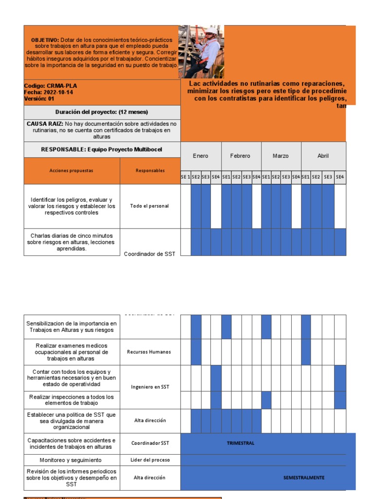 Plan de Accion SST | PDF | Business