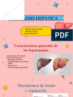 Cirrosis Hepatica