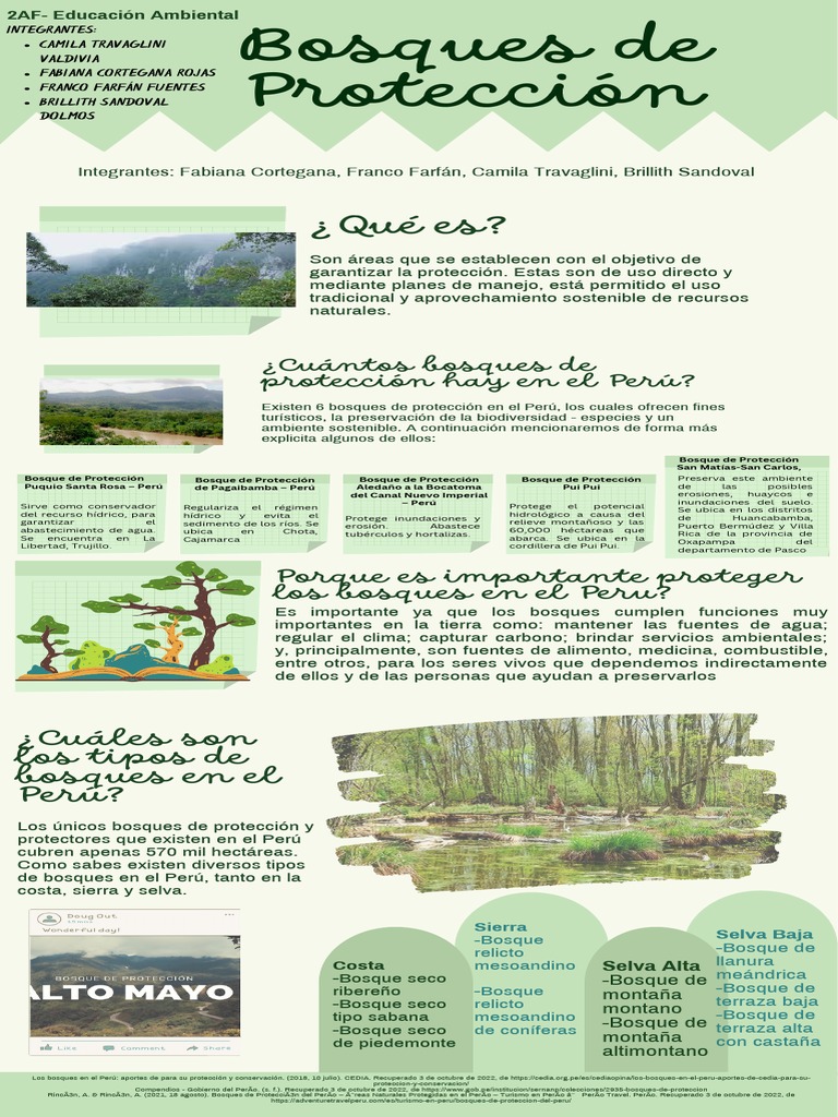 Bosques de Protección en Perú: Tipos y Funciones | PDF | Los bosques | Perú