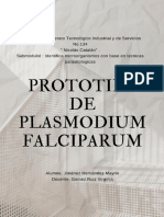 Plasmodium Falciparum (Protoclo Corregido)