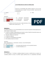 Desarrollo de Problemas de Genetica Mendeliana