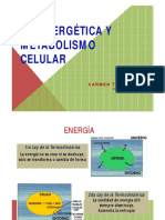 Bioenergética y metabolismo celular
