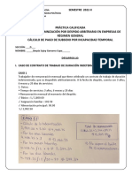 Práctica Cálculo Indemn Por Despido Arbitrario y Subsidio - HOJA Desarrollo