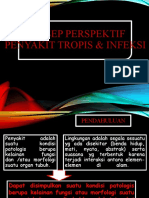 KONSEP PERSPEKTIF Tropis 1