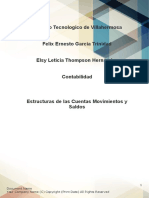 Estructura de Las Cuentas Movimientos y Saldos - 115933.dot