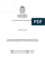 Informe 2 Botánica