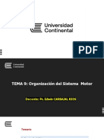 TEMA SEMANA 9 Organización Del Sistema Motor