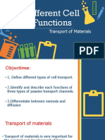 Cell Transport Functions