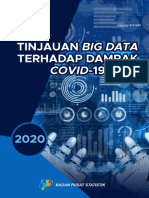 Tinjauan Big Data Terhadap Dampak Covid-19 2020
