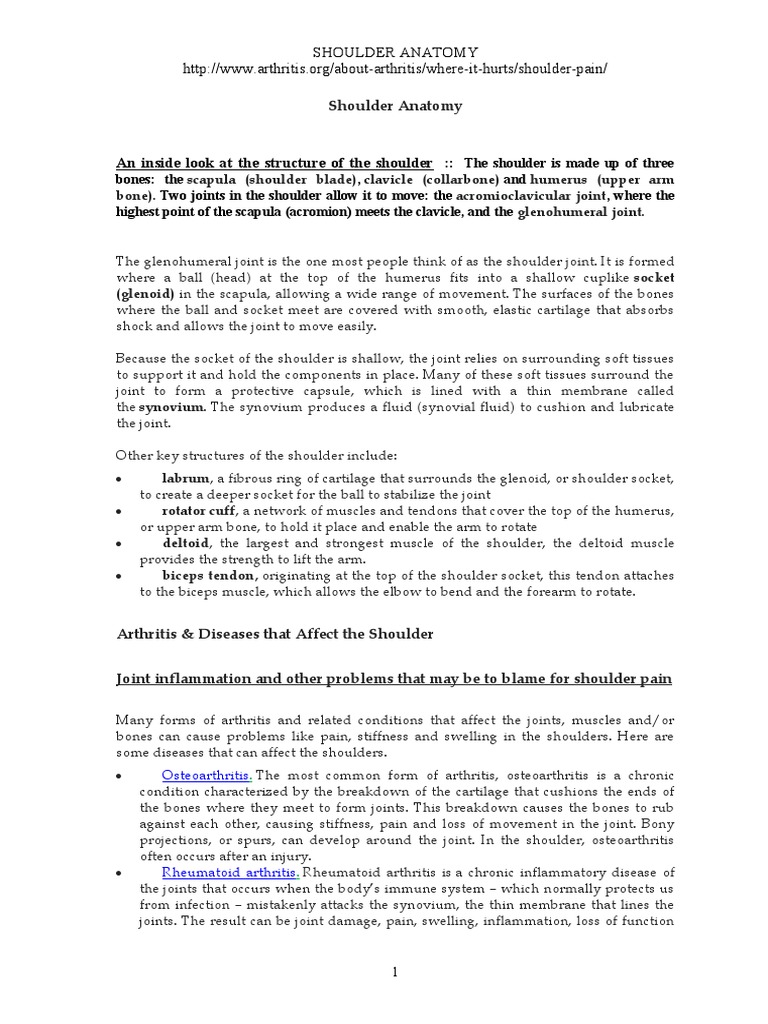 Shoulder Anatomy | Download Free PDF | Shoulder | Arthritis