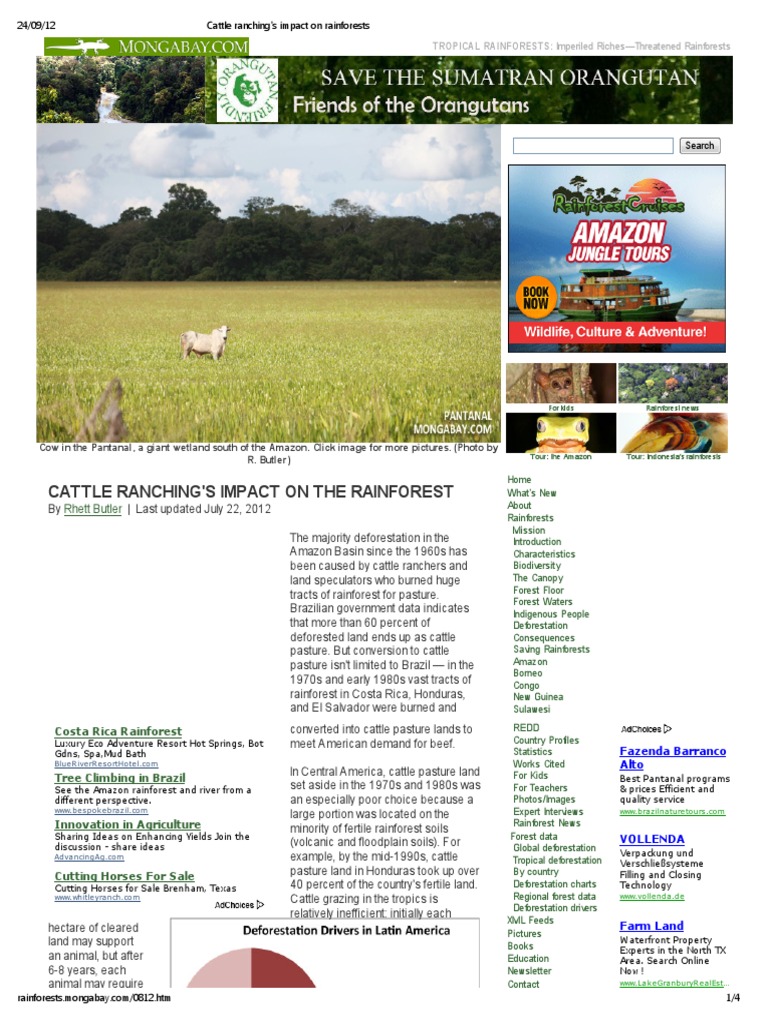 Cattle Ranching's Role in Amazon Deforestation | PDF | Amazon ...
