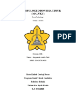 Geomorfologi Indonesia Timur