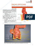 Doenças Anorretais - Meu Resumo