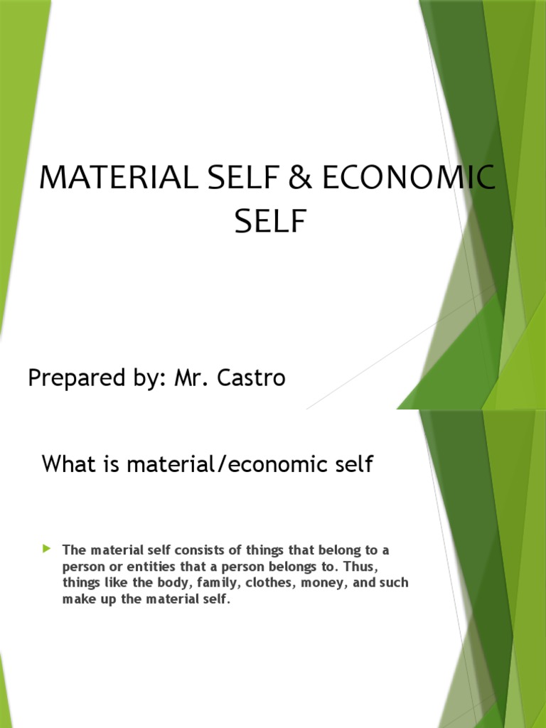 Material and Economic Self PDF Goal Disability