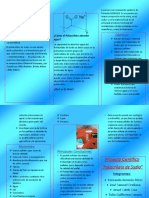 Trifolio Del Experimento PDF