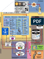 Sélection - Distorsion - Généralisation: Ancres