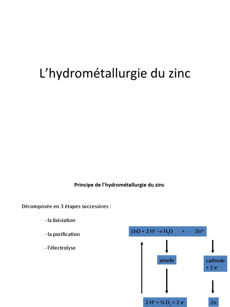Comment prévenir le développement de maladies fongiques avec des apports de manganèse et de zinc ? | Oligo Blog