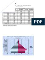 Grafik Piramida Penduduk - Kartika Eka Putri Anjani - 221028 - 175900