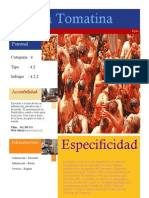 La Tomatina PDF