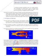 Cogeracao Gas Natural 052004