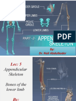 Lecture 5 - Bones of The Lower Limbs