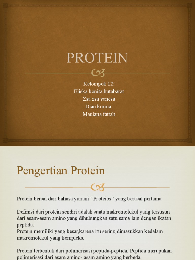 PROTEIN | PDF