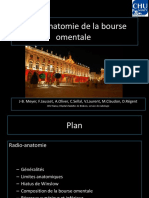 Bourse Omentaleanatomie lFILEminimizer