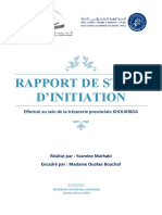 Rapport stage d'initiation