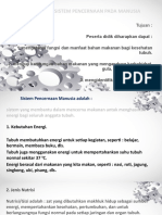 Powerpoint Sistem Pencernaan Pada Manusia, Selasa, 20 Okt 20