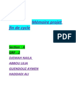 Mémoire Projet Fin de Cycle