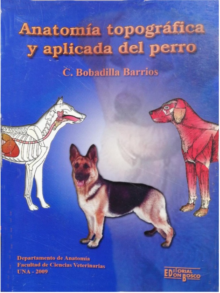 La importancia de la placenta y el cordón umbilical, image size:768x1024