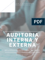 Auditoria Interna y Externa