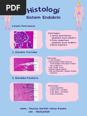 Porno modellar sorish va yutish sperma