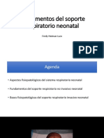 Fundamentos Del Soporte Respiratorio Neonatal