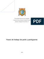 Fases del trabajo de parto y uso del partograma