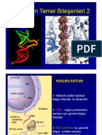Canlıların Temel Bileşenleri 2